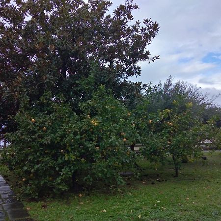 Villa Pellicano -Il Nido Castellammare di Stabia Exteriör bild