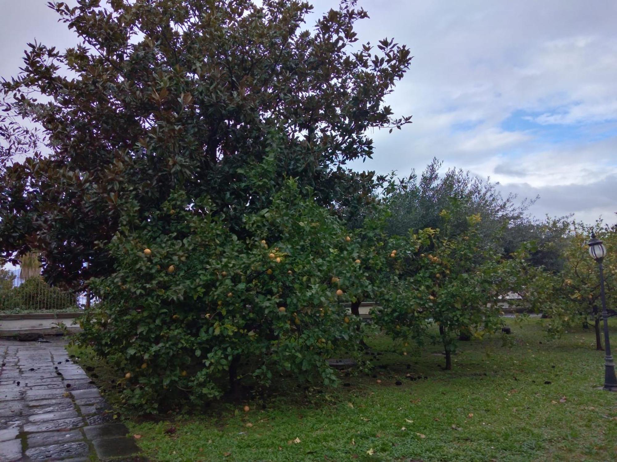 Villa Pellicano -Il Nido Castellammare di Stabia Exteriör bild